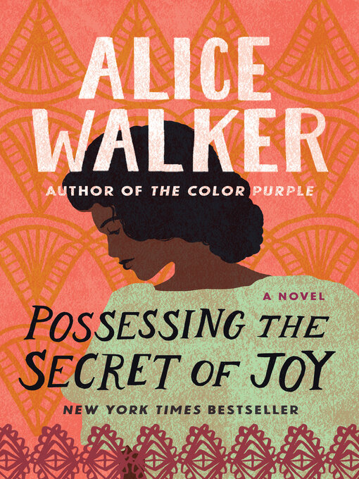Title details for Possessing the Secret of Joy by Alice Walker - Wait list
